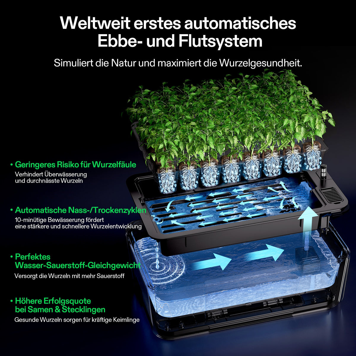 Vivosun VSeed S40 Anzuchtbox Komplettset 30W LED – Herstellerinformation und Anwendungsbeispiel 3