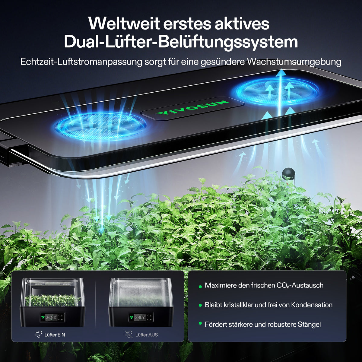 Vivosun VSeed S40 Anzuchtbox Komplettset 30W LED – Herstellerinformation und Anwendungsbeispiel 5