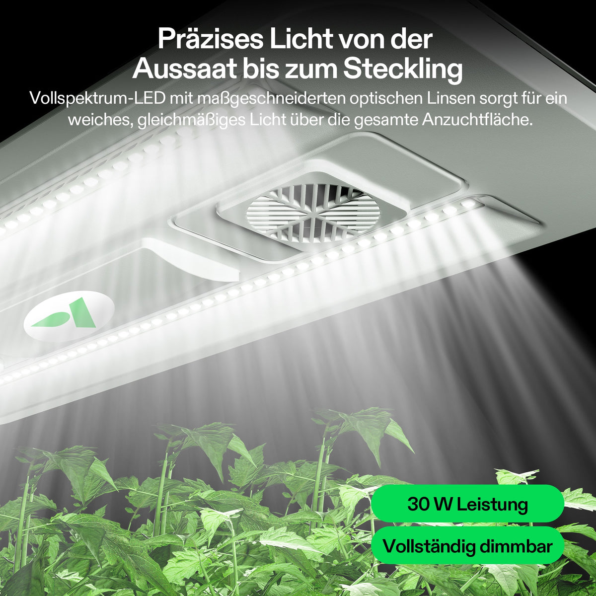 Vivosun VSeed S40 Anzuchtbox Komplettset 30W LED – Herstellerinformation und Anwendungsbeispiel 6